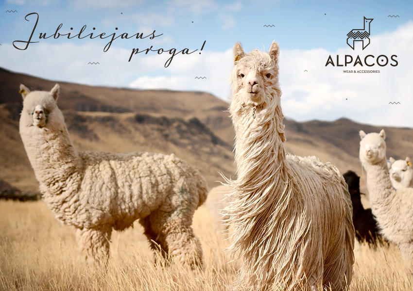 alpacos_atvirute_03