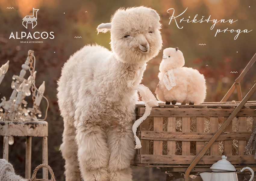 alpacos_atvirute_04