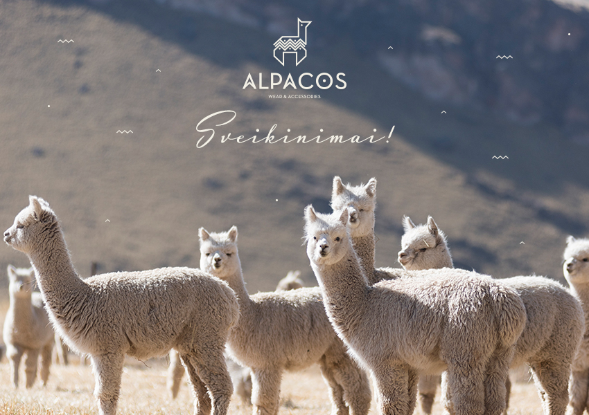 alpacos_atvirute_11