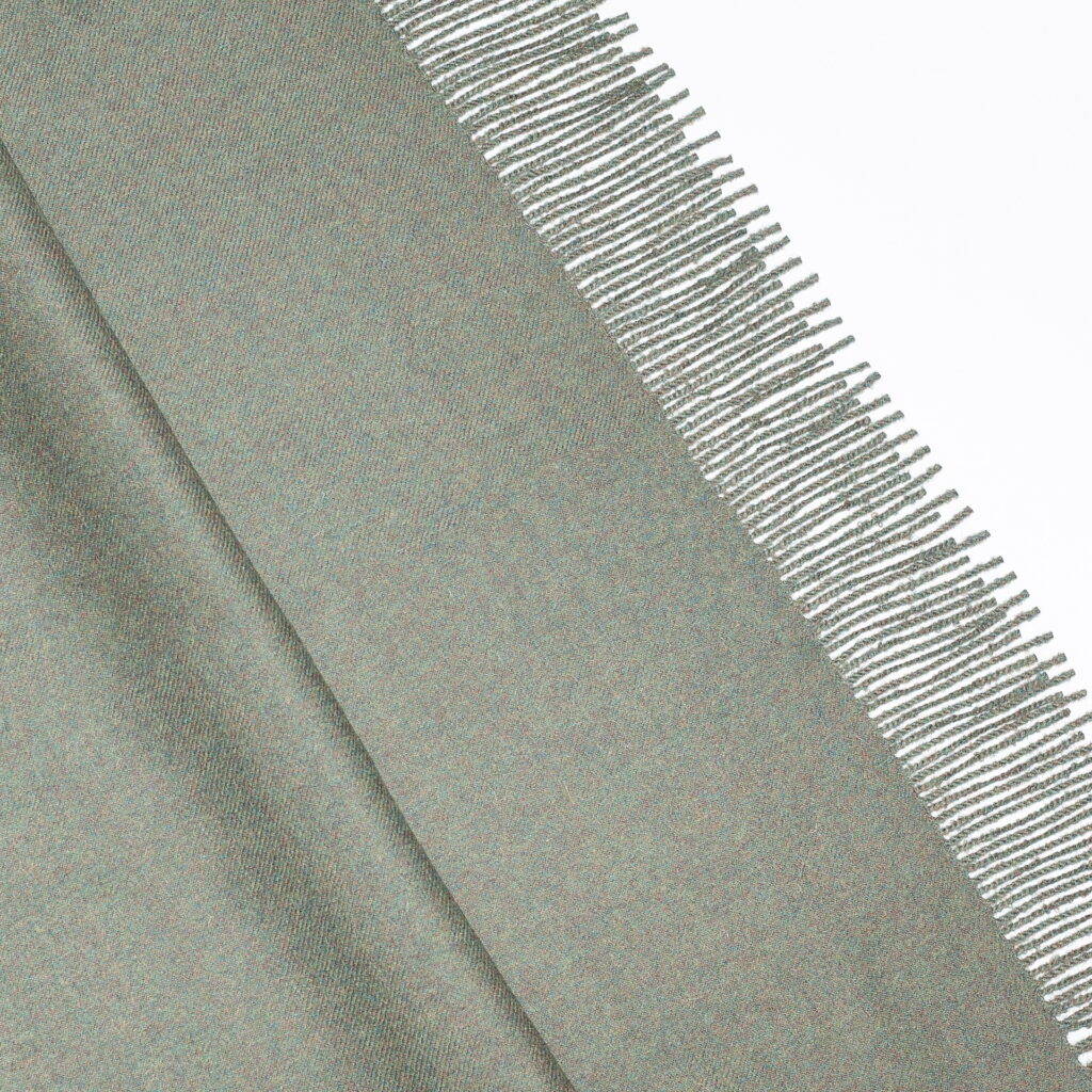 didelis-rusvai-zalsvos-spalvos-salikas