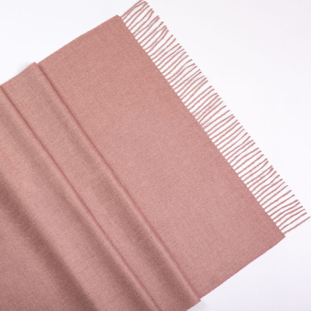 236CC501-40DF-4DA8-B836-7008302AEED0