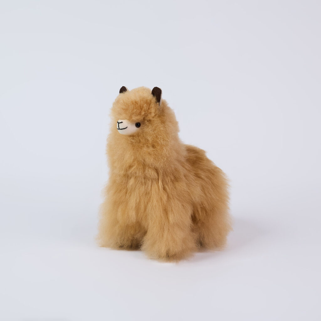 Alpakiukas Piero, karamelinės spalvos