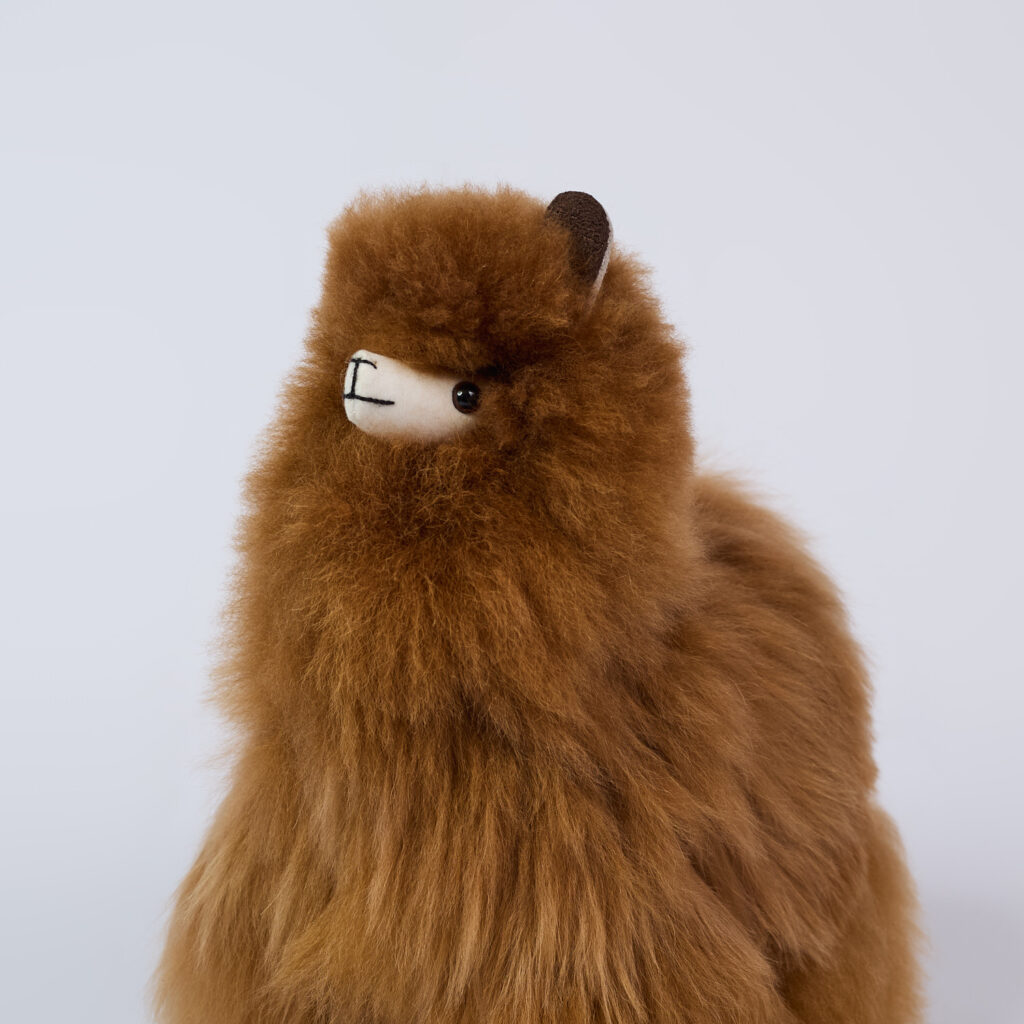 Alpakiukas Piero, rudos spalvos (3)